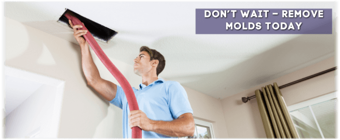 Air Duct Mold Removal in Marietta GA